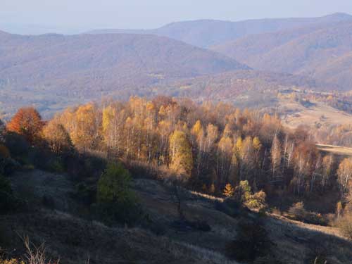 Foto Omagiu-lui-Sishkin (c) Petru Goja